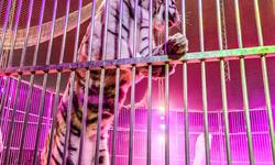 001.IMG20250919211135