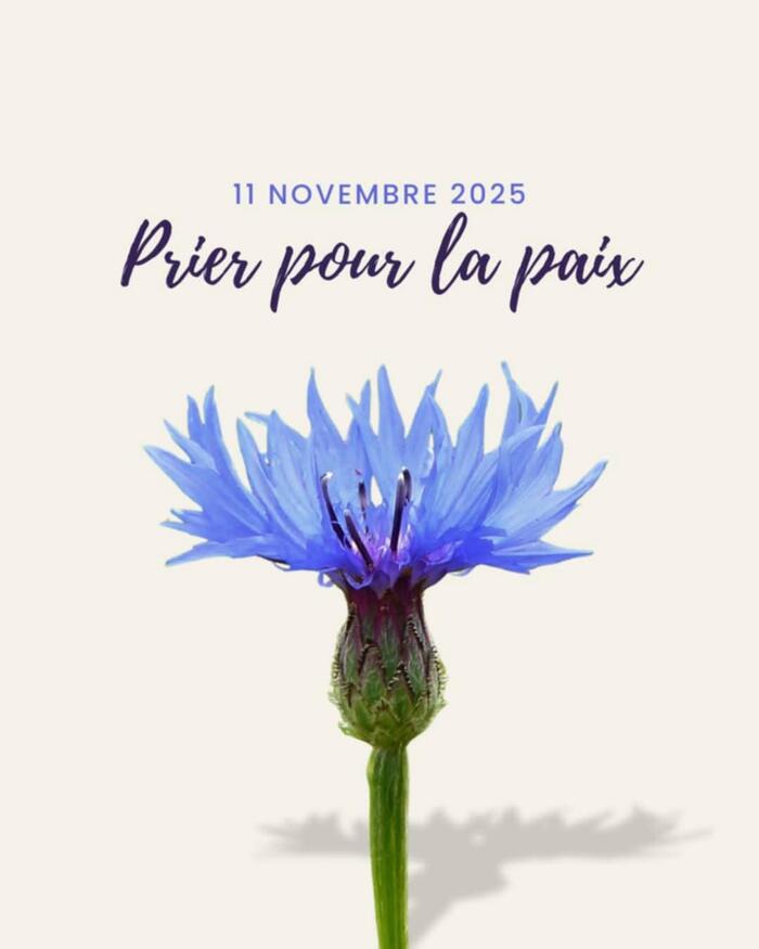 abbbfee1-e33f-44a2-b4c7-9ef0b19f257d